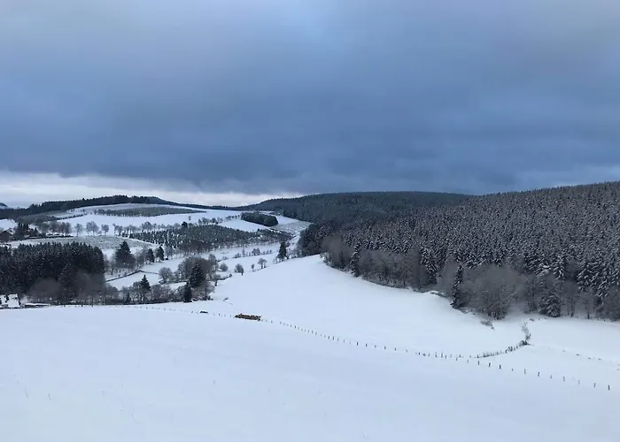 Appartement Familie Willems Winterberg 3