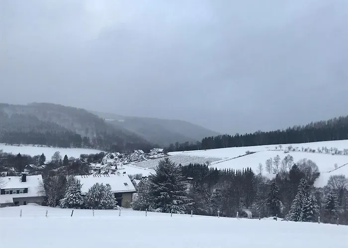 Appartement Familie Willems Winterberg 3
