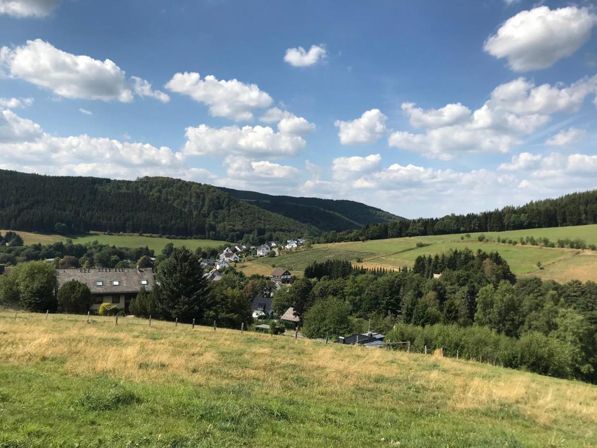 Familie Willems 3 * Winterberg